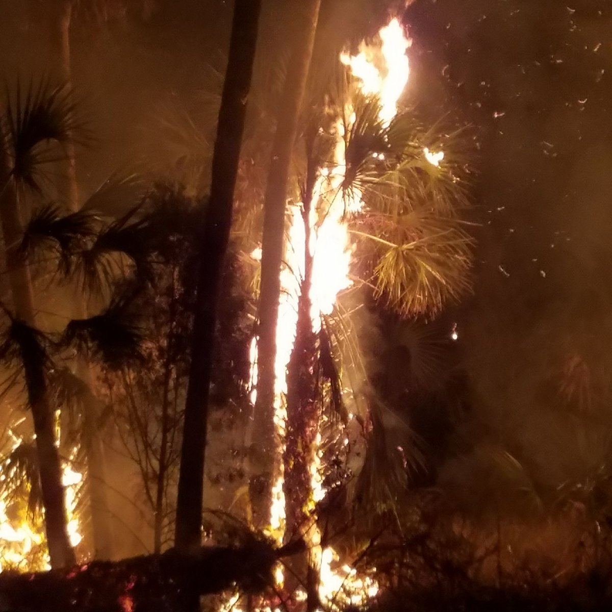 Today is Day 5 of Severe Weather Awareness Week, and the topic is temperature extremes and wildfires! Florida can experience a wide range of temperatures from dangerously hot to dangerously cold. Visit floridadisaster.org/hazards for more information. #SWAW2018