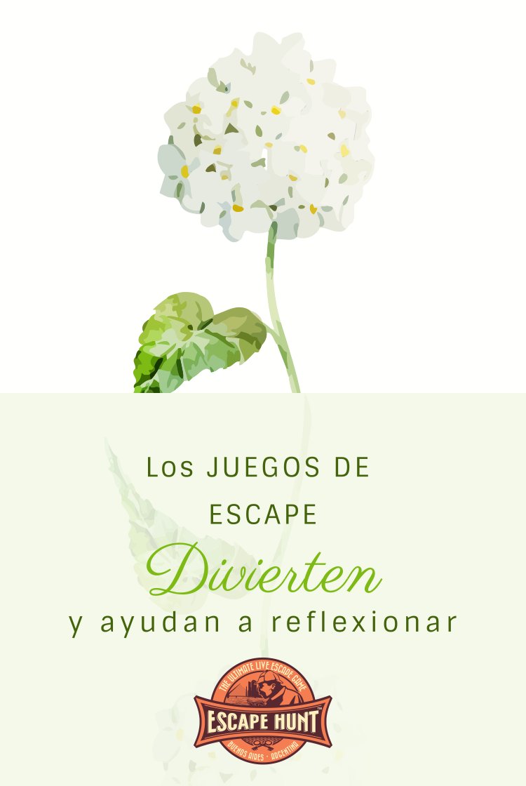EscapeHuntBue's tweet photo. Que tengan un gran fin de semana. Hagan su reserva https://t.co/AwaW4mBcGA https://t.co/wo5bCJOhgg