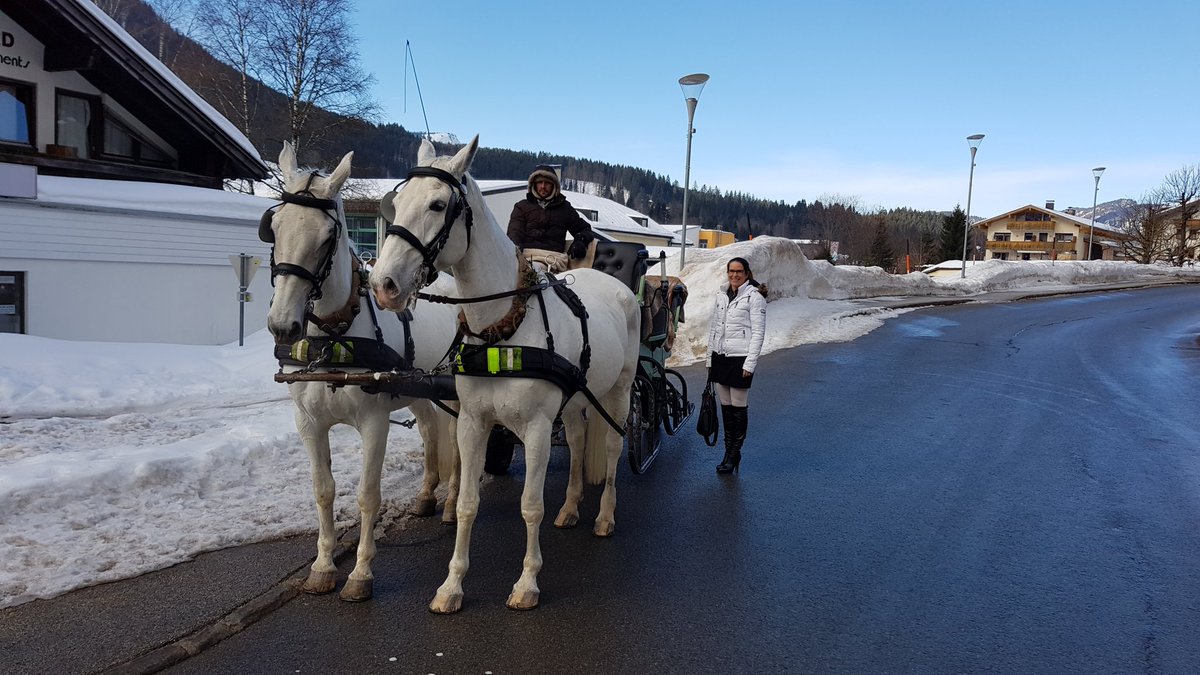 Oh what fun it is to ride in a one (sorry, two) horse open sleigh 😀
