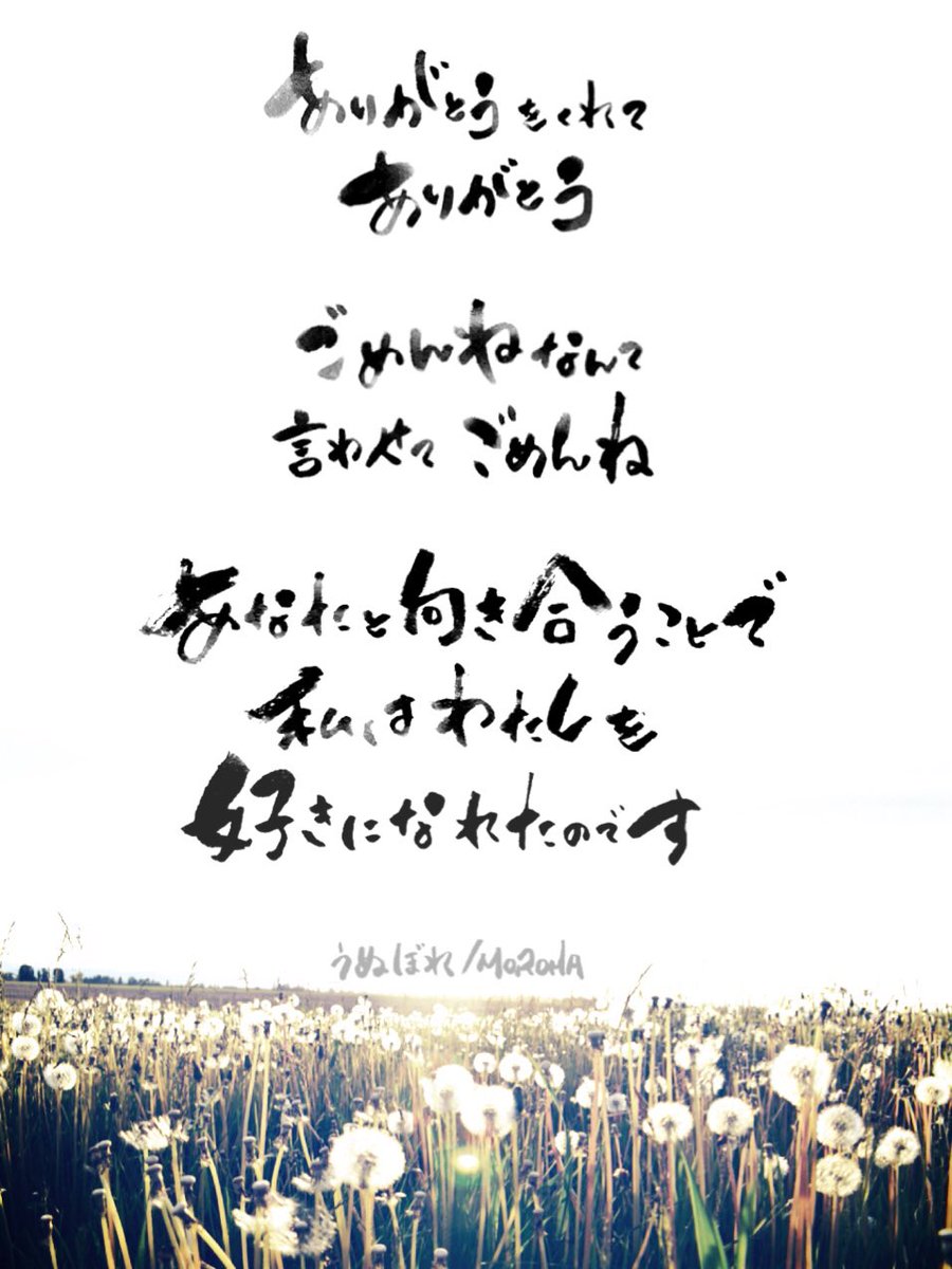 Erika ありがとう をくれて ありがとう ごめんね なんて 言わせてごめんね あなたと向き合うことで 私はわたしを 好きになれたのです Moroha うぬぼれ 筆文字 歌詞 Like Erika ありがとう をくれて ありがとう ごめんね なんて 言わせてごめんね あなたと向き合うことで 私はわたしを 好きになれたのです Moroha うぬぼれ 筆文字 歌詞 Like