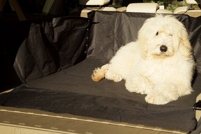 Mountneyltd's tweet image. Protect your boot with our water resistant Summit boot liner @1stImageCov #muddywalks #bootliner