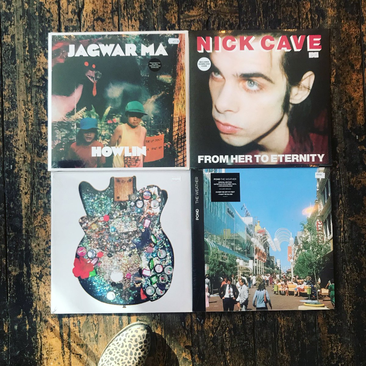 lioncoffeerec's tweet photo. Happy Australia Day 🇦🇺... here’s some Australian faves 😍 @JagwarMa @nickcave @splashhband @PONDband #jagwarma #nickcave #splashh #pond https://t.co/0awapaBuZV