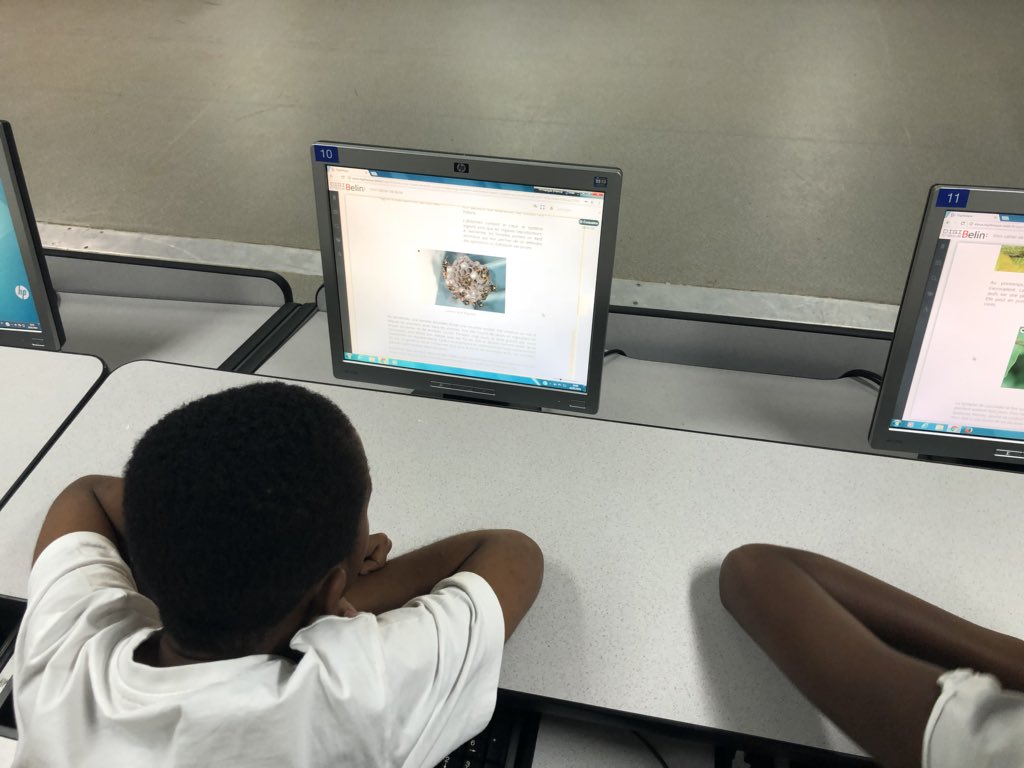 ZLudovic's tweet photo. Au collège Isidore Pelage...les élèves de 6ème apprennent à classer les êtres vivants en utilisant la Digithèque #SemDuNum @Digitheque #SciencesetTechnologie https://t.co/paS8fmgWqF