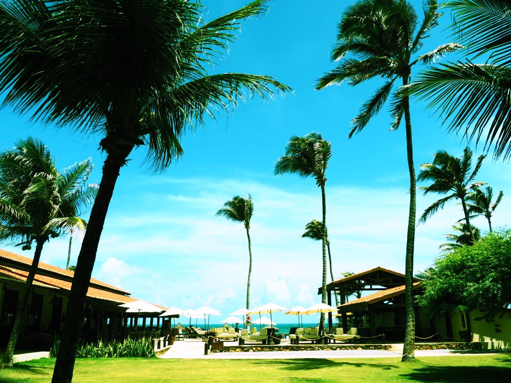 Mademoisellevoy's tweet photo. 🇧🇷[Avant dernier jour au Brésil]🇧🇷

Nous sommes à la #guajiru et nous finissons ce séjour en beauté par une étape de 2 nuits à l’hôtel 4 * @redebeachhotel 

Je suis tranquillement assise dans mon hamac bercée par les bruits des vagues...

#BresilAventure #mellevoyinbrazil https://t.co/7mSBkeEYfA