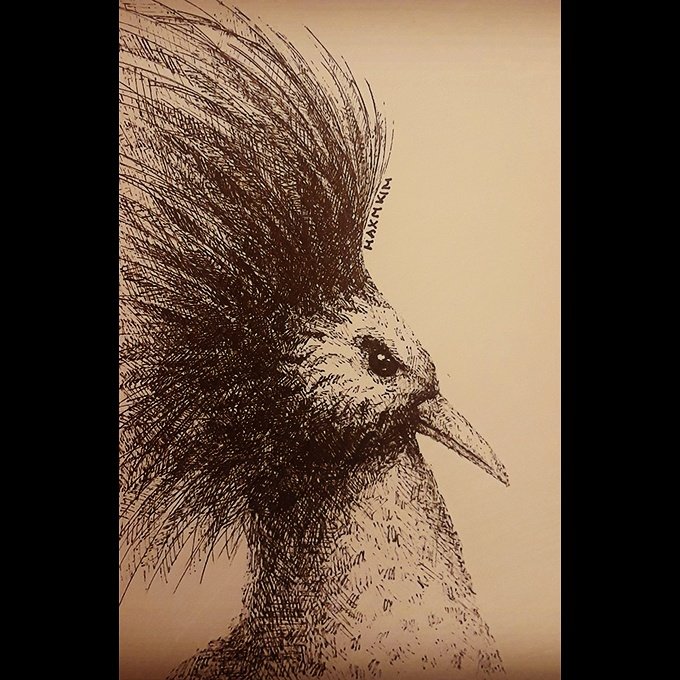 maxmkimart's tweet photo. "The Principles". Integrity, Honor, Respect and Loyalty.
#principles #value #thoughts #lifestyle #life #newyork #nyc #ny #city #bird #animals #nature #vintage #art #drawing #sketch #ink #pendrawing #doodle #balckandwhite #artist #musician #producer #music #view #photography https://t.co/OtoKMmsQ84