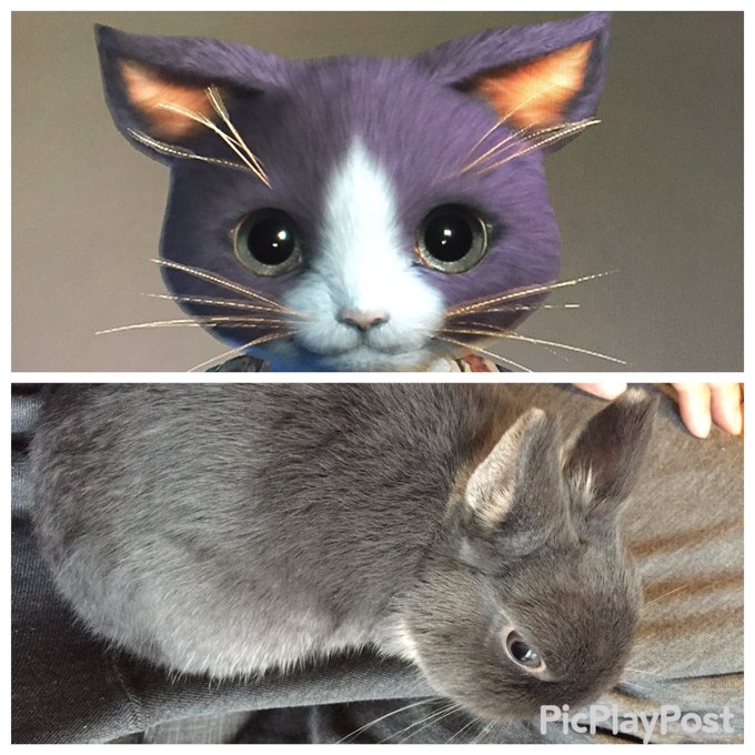 Mhw キャラメイクで作れる 可愛いオトモ 総まとめ モンハンワールド Matomehub まとめハブ