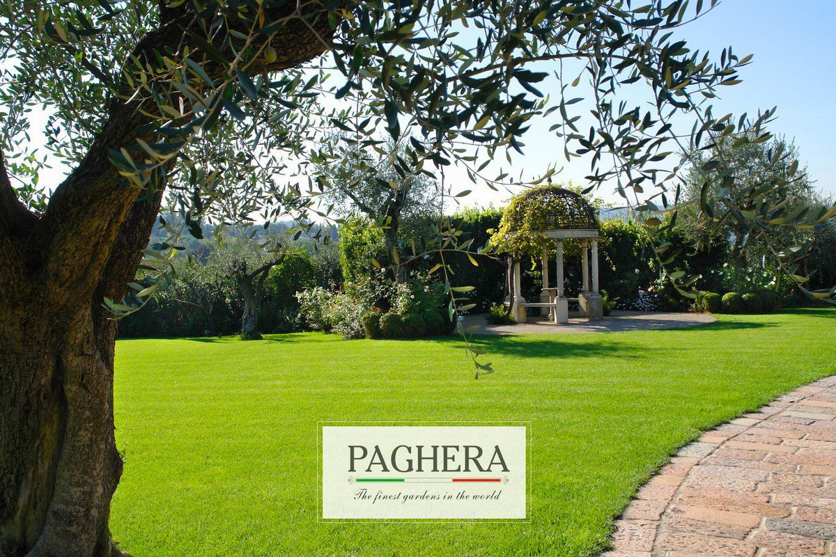 PagheraGS's tweet photo. Botanic knowledge, Reason and Sensibility.
These are the qualities that drive us to design and build the finest gardens in the world, from the smallest to the biggest and most complex. 

Discover the green world signed Paghera on 
https://t.co/DIQGfaIKw9 https://t.co/AwdGAqYFda