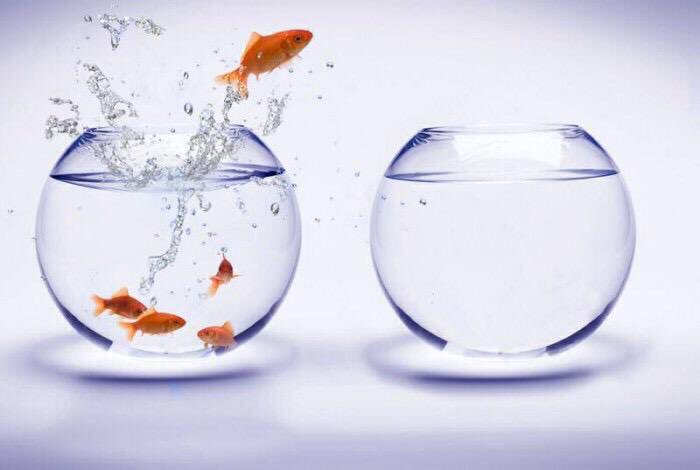 RepoRoute's tweet image. Why run addresses more than 1x when there is a low percentage of repossession?  Our “Locate Score” changes how you work repossession assignments. Integrated w/iRepo, RDN and Prios, this will change your strategy!                                      locatescore.com