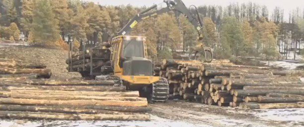 wildfiretoday's tweet photo. Custer State Park in SD begins salvage logging 6,200 acres that burned in the #LegionLakeFire in December. Photo: NewsCenter1 https://t.co/PI8NsLTssN https://t.co/fQSjwZSq2m