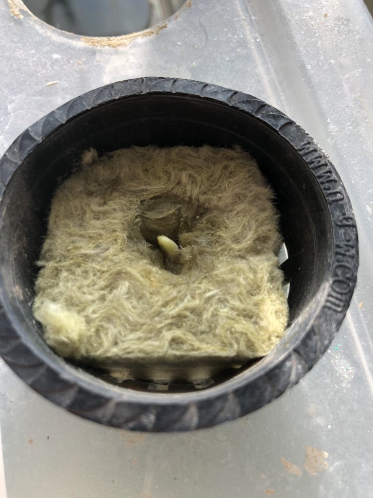 Food For All tweet media