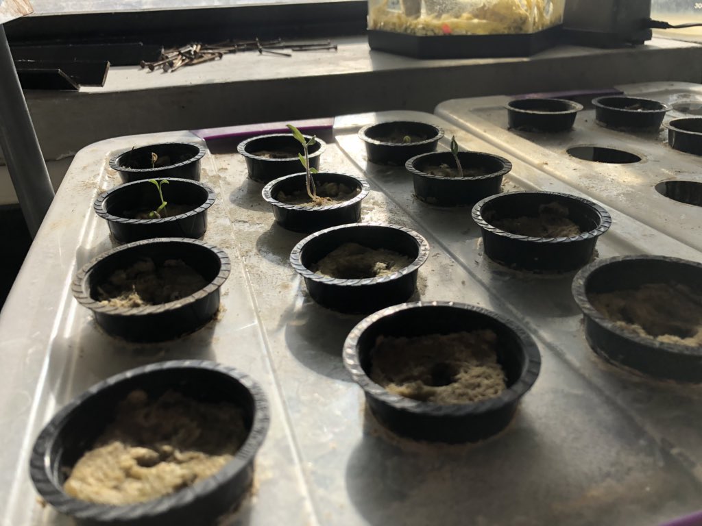 Food For All tweet media