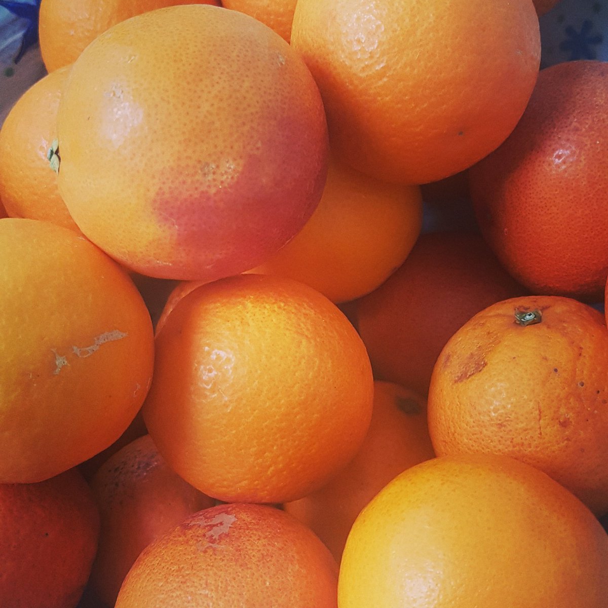 LivWildBBC's tweet photo. To everyone with the flu (approx 90% of my team) #getwellsoon #drinkfluids #takecare #wrapupwarm #orangesaretheonlyfruit #tocureflu #Iamatrainedmedic #noIamnot https://t.co/YrpqmhX0Eh