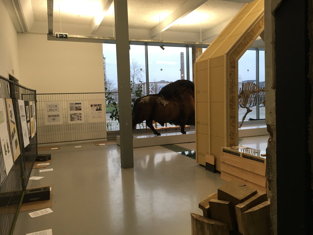 Corina Punte tweet media