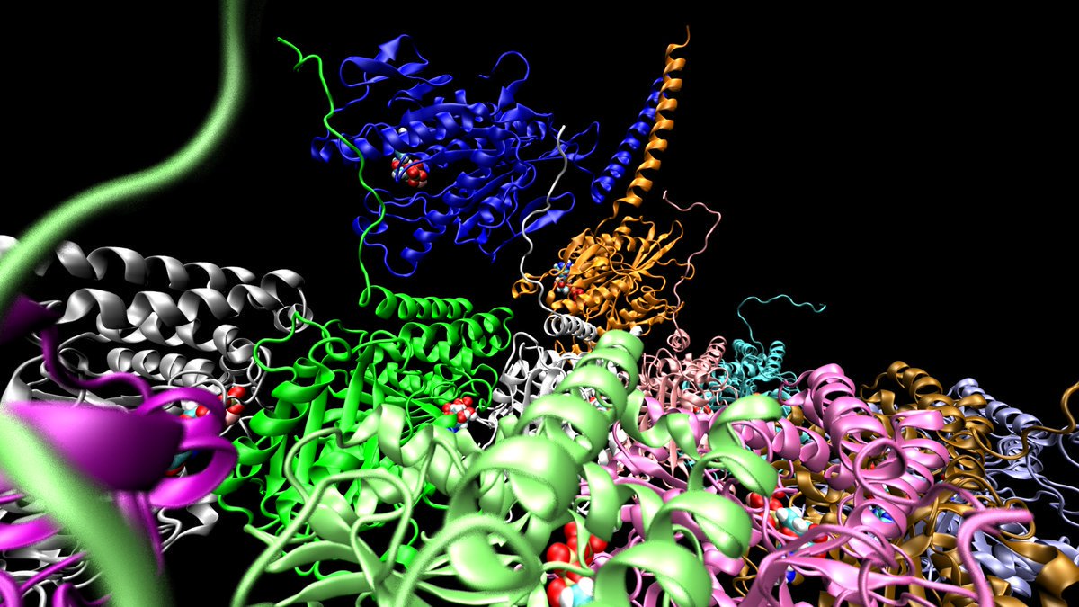 A molecular look at multicolored proteins in a cell
