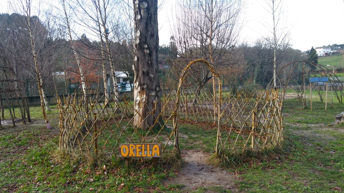 #EducaciónAmbiental Estruturas vivas de vimbios (orella, elipsoide, semiesfera, hiperboloide) <a href="/Ferminblanc0/">FermínBlanco</a> <a href="/IDOIACUESTA/">Idoia Cuesta</a> @conscultura <a href="/CAFIgalicia/">CAFI</a>