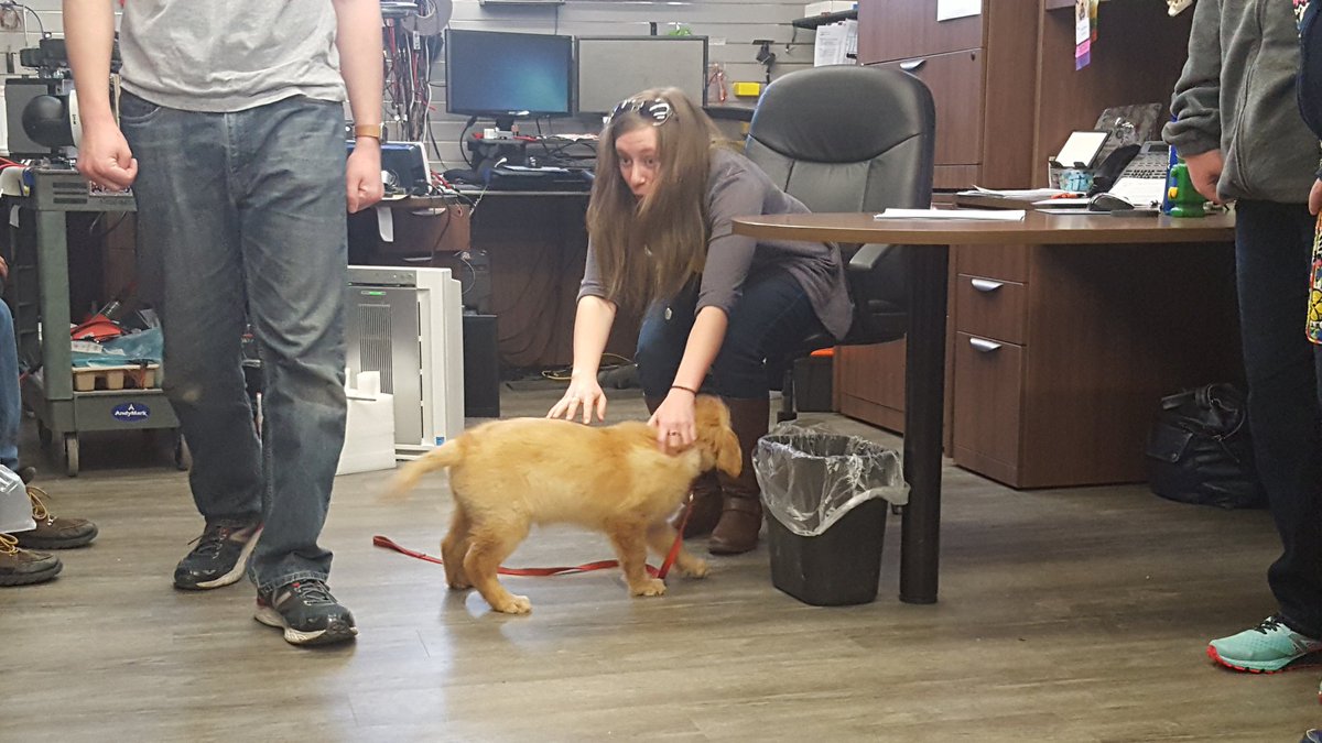 We had a very special visitor in the office this morning

#puppy #OMGrobots
