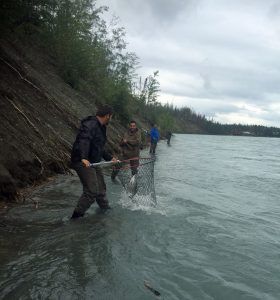 exploretours's tweet image. Meet our Explorer, Amir! An Alaska transplant...he has adventured through a lot of ground helping curate amazing adventures. bit.ly/2naY8WX #alaskaexplorer #MeetTheTeam