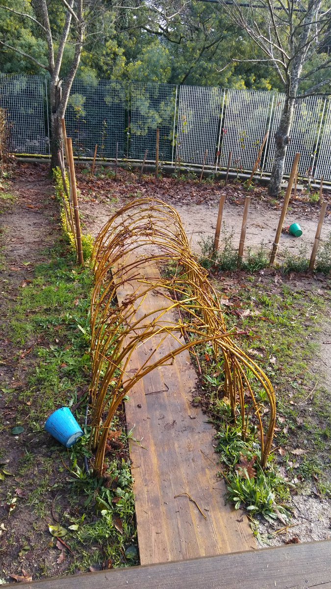 #EducacionAmbiental O Labirinto vivo, con vimbios, mirtos, camelias e árbores autóctonas (nogueiras, abeleiras) @conscultura <a href="/CAFIgalicia/">CAFI</a> <a href="/IDOIACUESTA/">Idoia Cuesta</a> <a href="/Ferminblanc0/">FermínBlanco</a>