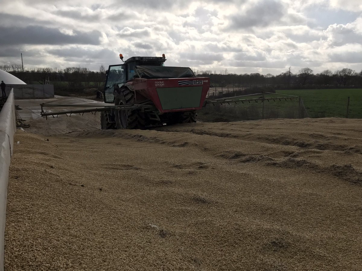 Pierrot ROLAND tweet media