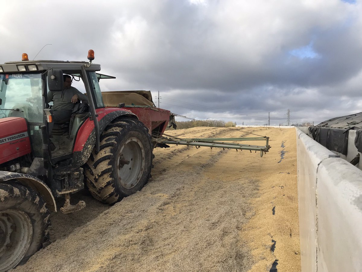 Pierrot ROLAND tweet media