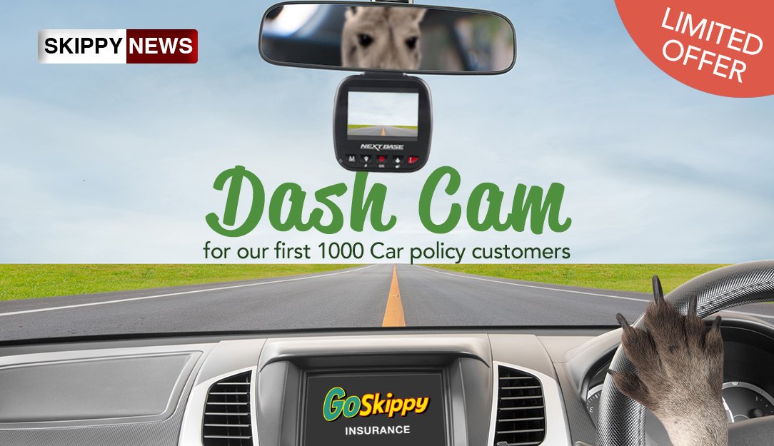 GoSkippy Insurance (GoSkippy) Twitter