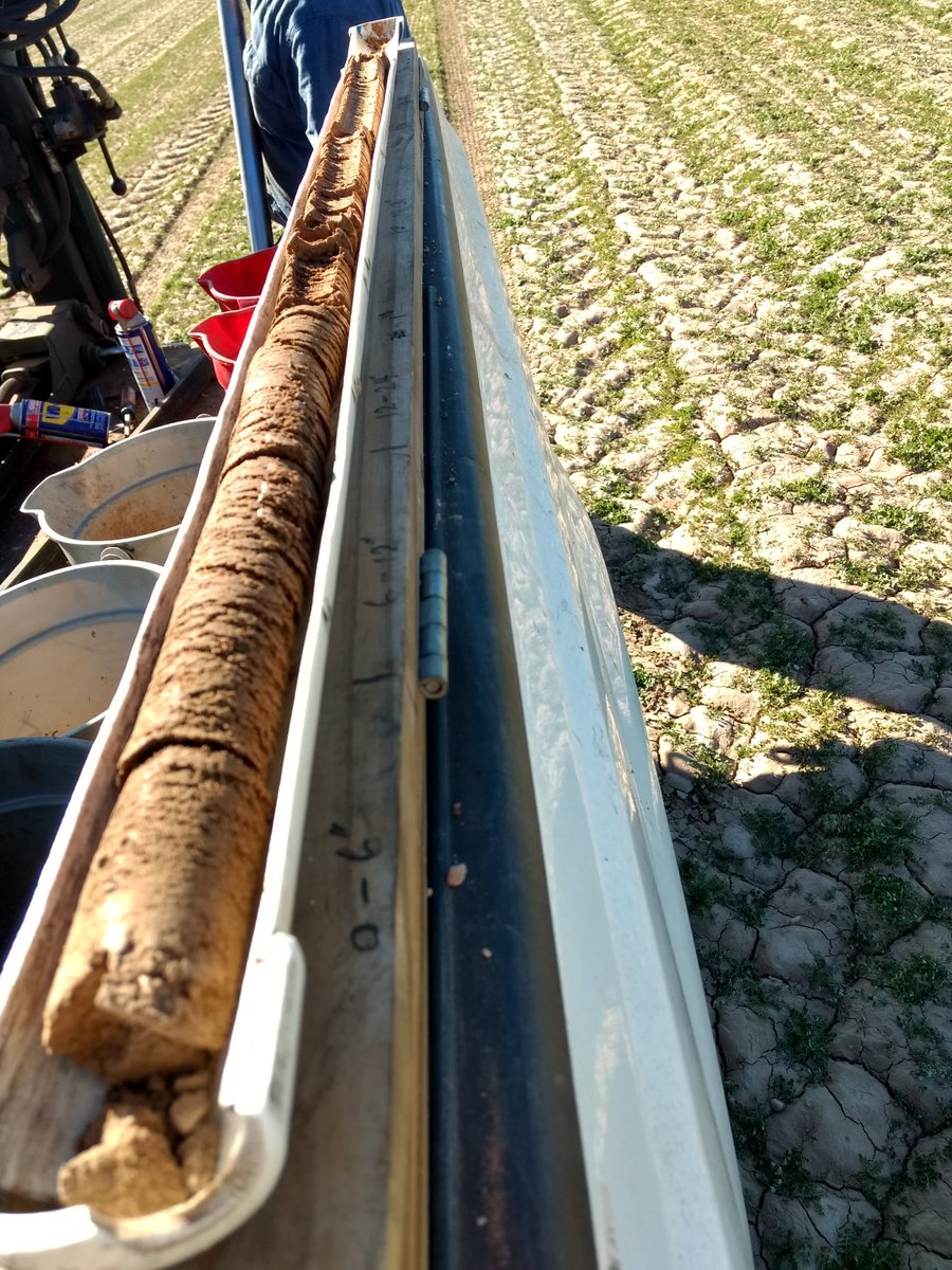 Jake Mowrer tweet media