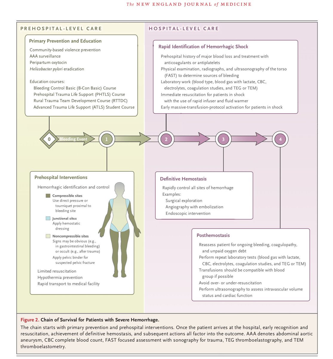 fungal disease in britain and the united states 18502000 mycoses and modernity 2013