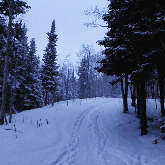 wasatchmcquack's tweet photo. Beautiful snowy dawn patrol. Thanks for the snow Warren Miller! First real sleeper storm this winter.
#wasatch #earnyourturns #skiuphill #saveourcanyons #wasatchbackcountryalliance #utavy #optoutside #protectourwinters #keepbackcountrywild #dynafit #hag… https://t.co/rNMjxaKT93 https://t.co/a7wX9dN14c