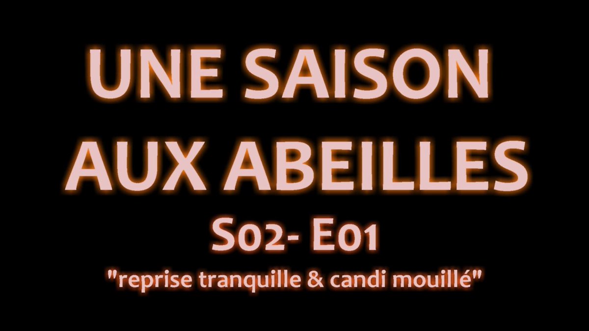 Leandre_USaA tweet picture