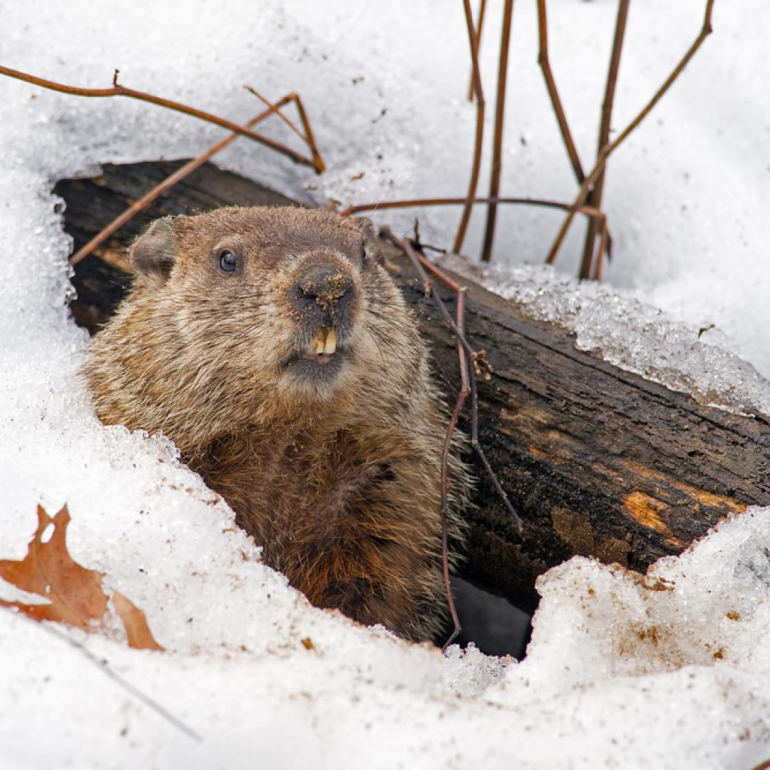 Point HVAC tweet media