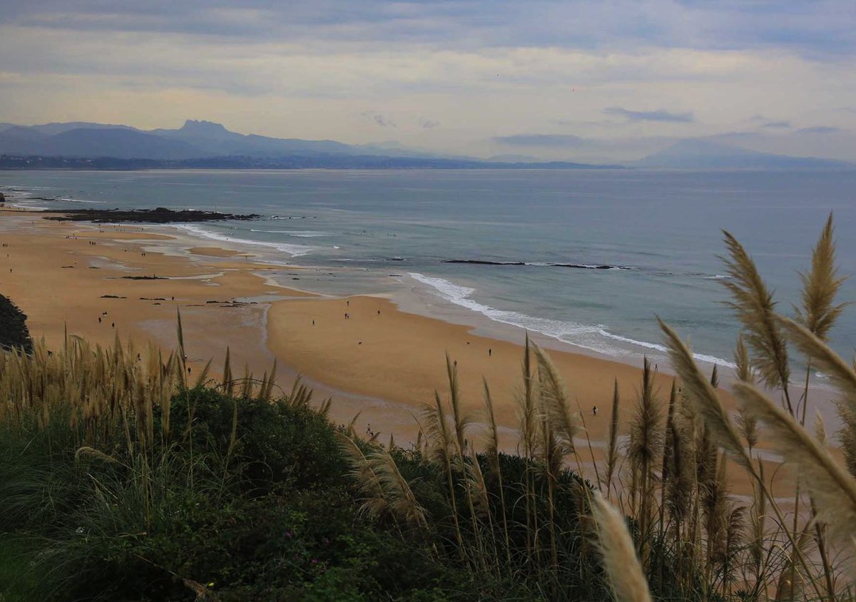 BaladesdeClaire's tweet photo. Nouvel #article #blog Wkd Biarritz avec @Novotel_FR #biarritz #anglet #paysbasque https://t.co/UlbeUPKLfc