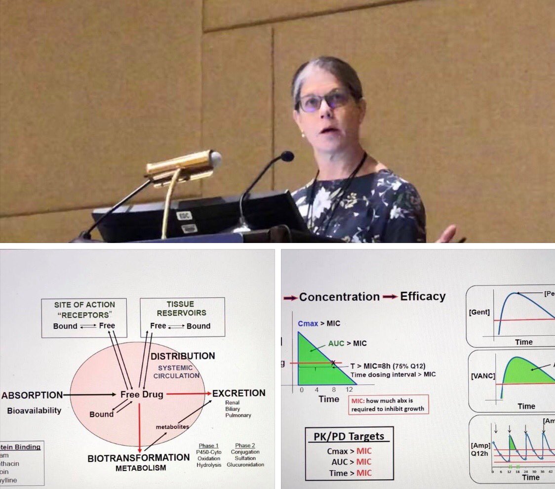 AAPneonatal's tweet photo. Kelly Wade synthesizes a clear and helpful review of the Guiding Principles of Neonatal Pharmacology—essential as core knowledge and for every day practice.  #NeoPREP18 https://t.co/j9byzJg1ST