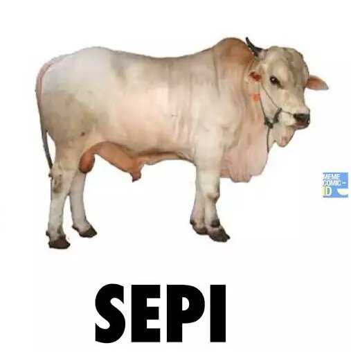 Kok Sepi Memes Mythen, Monster Und Machtkämpfe Im Alten Griechenland