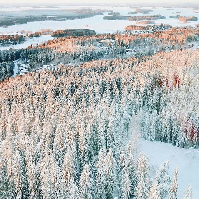 Featured artist <a href="/minnaelinaa/">Minna</a> 
Have a nice weekend!

#koesuomi #feelfinland #gofinland #artofvisuals #visualsoflife #beautifuldestinations #theimaged #welivetoexplore #agameoftones #exploretocreate #justgoshoot #peoplescreatives #naturegeography #theoutbound #visualsofearth #…
