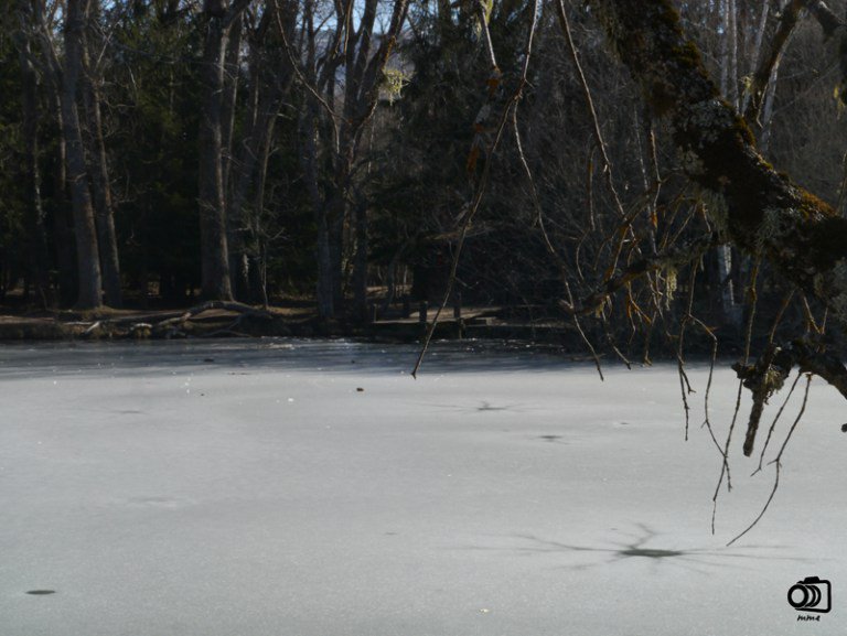 Palabrasdviaje's tweet image. El plan de #sofaymanta es muy apetecible, pero os animamos a acercaros a Rascafría este fin de semana. Os contamos por qué en nuestro nuevo post bit.ly/2DNjSlY