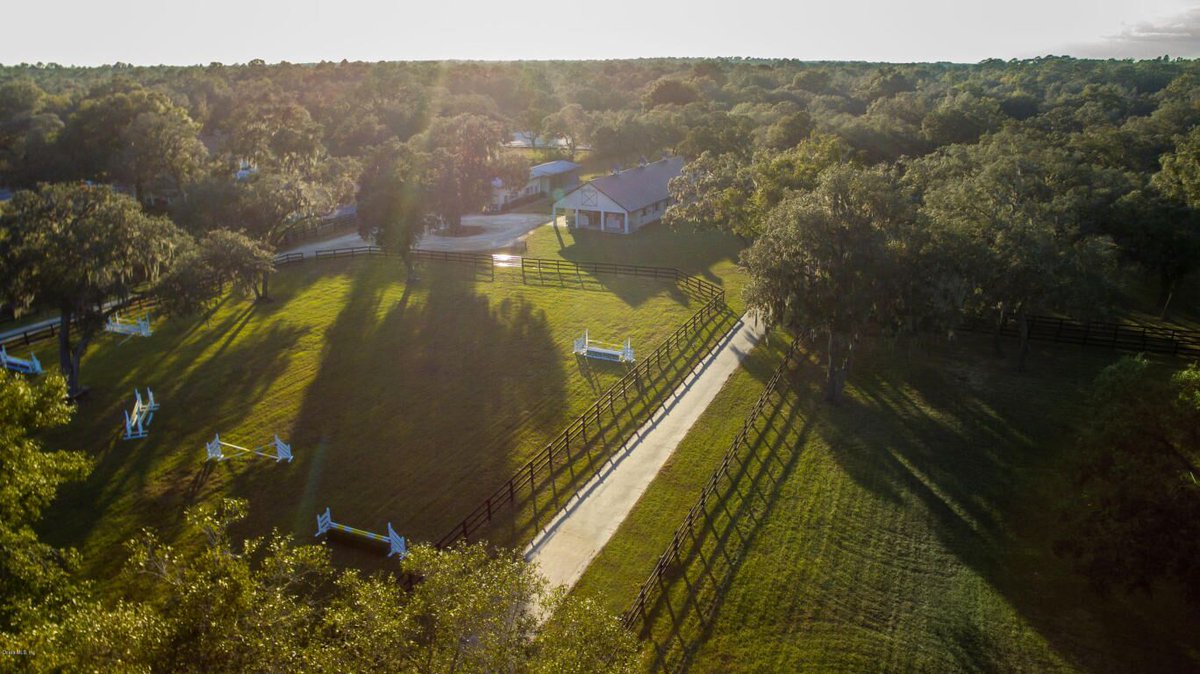 ShowcaseOcala's tweet photo. Dive into our mini-farm listings and discover the luxurious equestrian escape that’s waiting for you. https://t.co/afwEOyM8S7 https://t.co/RCZrdkGmzn