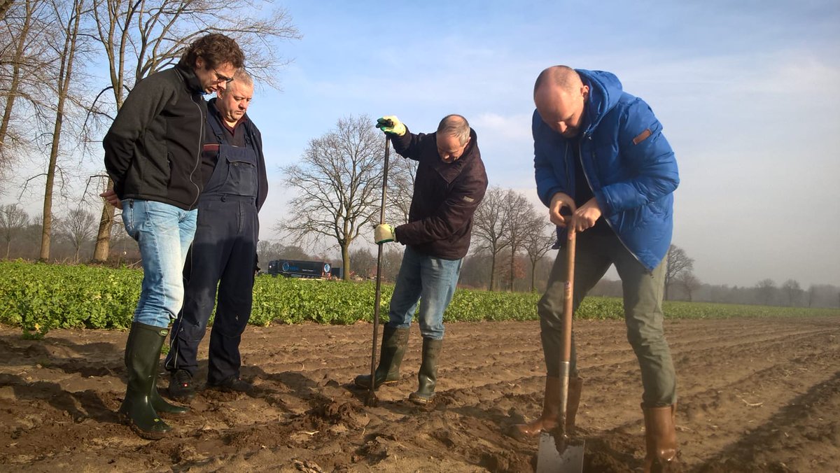 r_bartholomeus's tweet photo. Bezoek agrariërs in #Raamvallei @aaenmaas @InfoLumbricus. Samen werken aan een #klimaatrobuust #bodem #water systeem. https://t.co/UanAQhkBoI