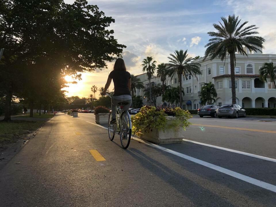 VictorDover's tweet photo. @miasmartrans @AileenBoucleTPO @GoCITT Tree-Lined Streets & safe bikeways = top priorities. Even more important than turnstiles and station escalators. People on foot and on bikes need shade and safety. #essentialequipment #firstandlastmile #TransitSummit2018 https://t.co/2r8UBU70OR