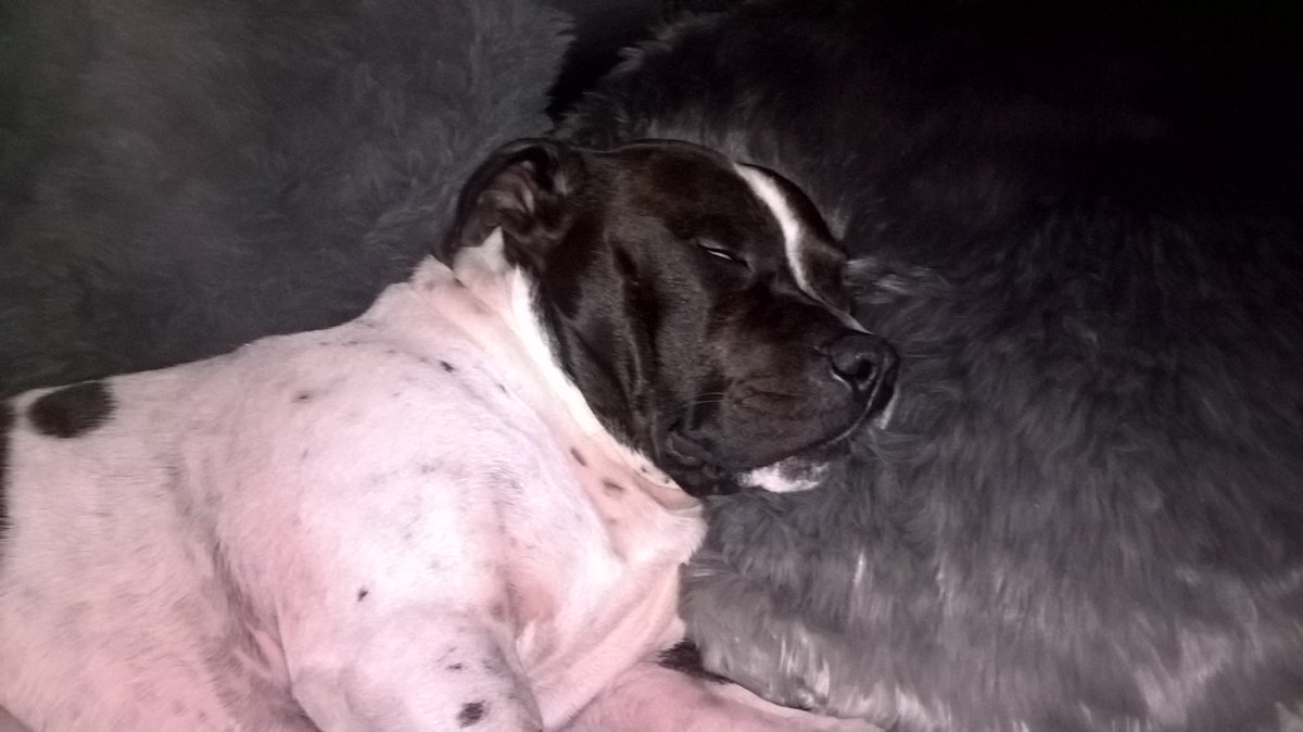 JohnTreacle's tweet image. 