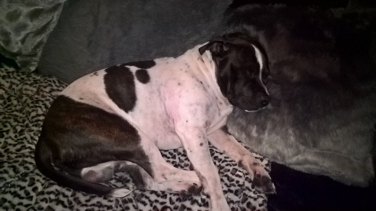 JohnTreacle's tweet image. 