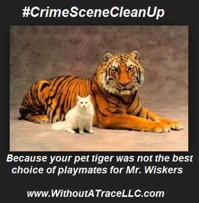 WithoutATraceFL's tweet photo. In the #CrimeSceneCleanUp business we sometimes get an unusual call. https://t.co/bcIfYLu0Uz for all your #Crime, #Trauma, #BioHazard, #Blood, and #Odor #CleanUp needs. 844-4-All-Hazards https://t.co/pEJ5ZkRG6R