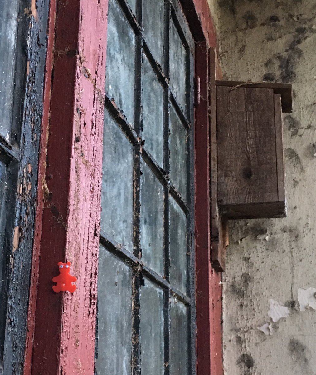 AShoeBearPlanet's tweet photo. Shoe Bear®️ on window near birdhouse. Castalia Avenue. Athens, Georgia. #Window #SinglePane #BirdHouse #Old #Vintage #Historic #Birds #Porch #Recycle #Reuse #PleaseRecycle #KeepItClean #TakeShoeBearsWithYou #Recycle https://t.co/CeafBByFrV