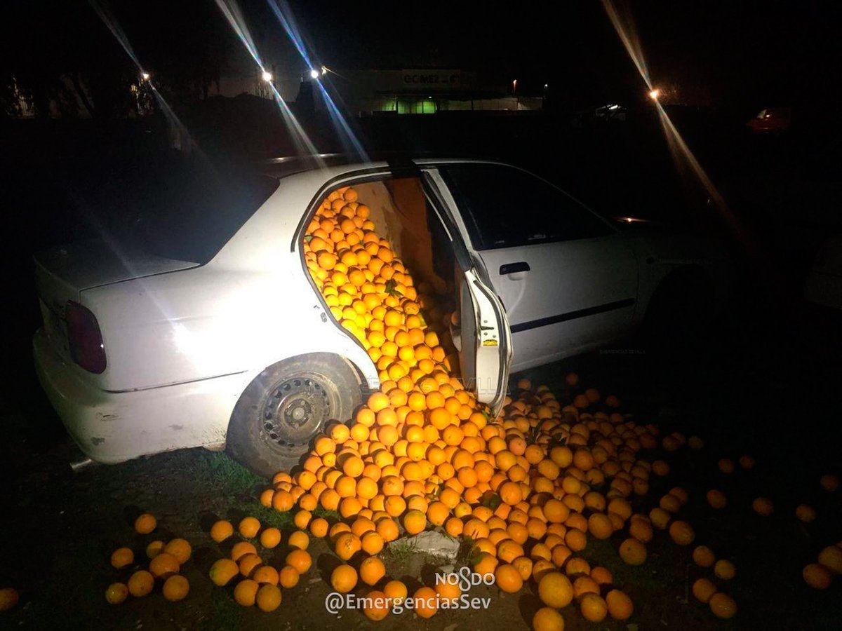 MediterraneoDGT's tweet photo. Detienen a 5 gitanos con 4.000 kilos de naranjas en el coche y alegan que son 'para consumo propio' https://t.co/nyxqoA7lLV #Sevilla https://t.co/3BWkhy6eTp