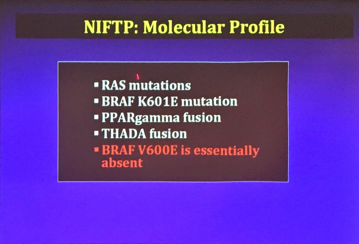 lara_pijuan's tweet photo. Non-invasive Follicular Thyroid Neoplasm wt Papillary-like Nuclear Features (#NIFTP): How will it impact the next edition of Thyroid Bethesda by @bfaquin #MarCourse18 #cytopath #ENTPath https://t.co/avJq3AhwEk
