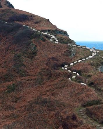 Rush hour <a href="/NorthDevonNT/">NorthDevonNT</a>.