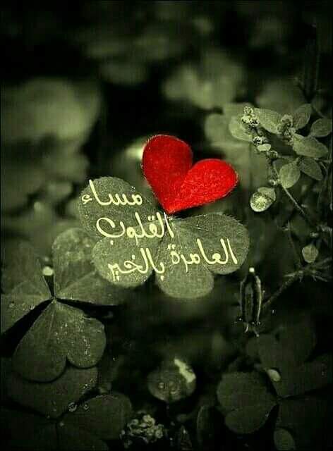 AlmasryBodur's tweet photo. https://t.co/lDDDFByXna