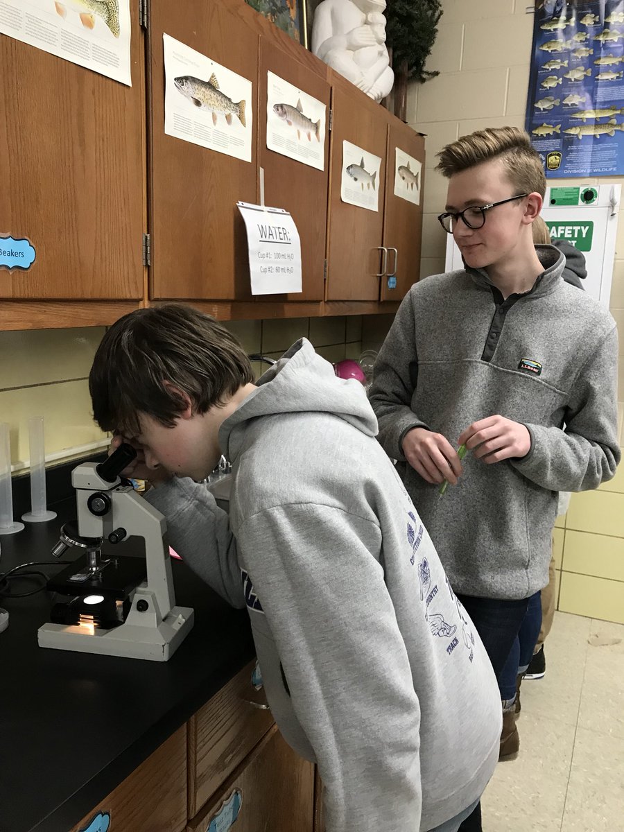 merrill307's tweet photo. Hunting for all the beautiful phases of mitosis in plant &amp; animal cells—&amp; my students taught me how to take cool microscope pics!  #WeAreFirebirds https://t.co/93EVaKdXqM