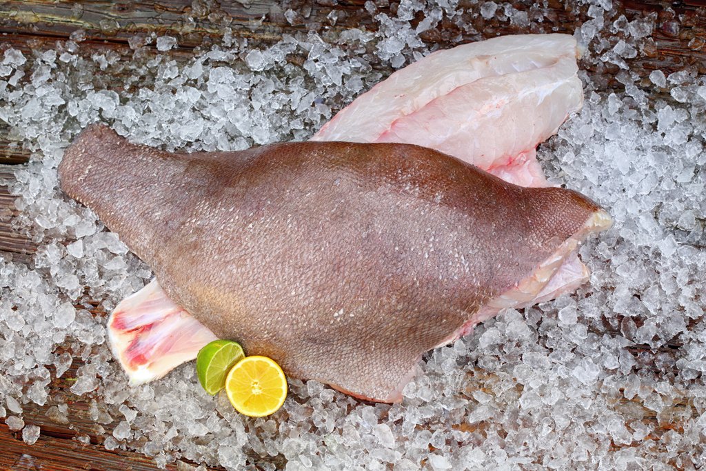 threehandsfish's tweet photo. THF Community: We're stocked with just-caught lane and yellowtail snapper, grey tilefish, barrel fish, and snowy grouper. We also have smoked king fish.

Come by the market today for your Key West fresh fish! https://t.co/VGRHcqyqOw