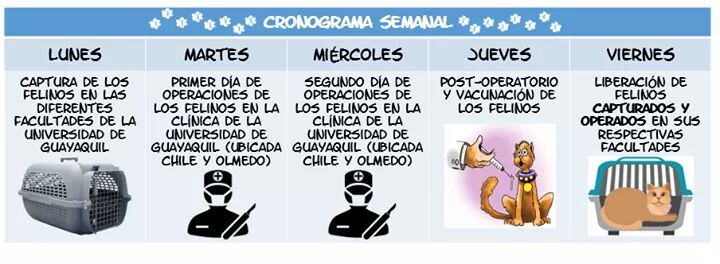 gatitosUG's tweet photo. Cronograma Semanal de #UGatos puedes estar al pendiente de nuestras actividades diarias. 😻 https://t.co/avx5PB9KpT