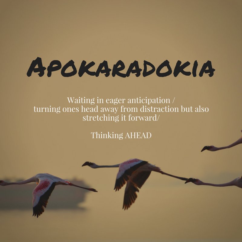 ms_nongcebo's tweet photo. 'Apokaradokia' is the buzz word in my house
@stevenfurtick #ElevationChurch #FunctionalFaith https://t.co/guTNLkquwK